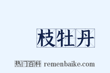 纏枝牡丹是什么意思的图片